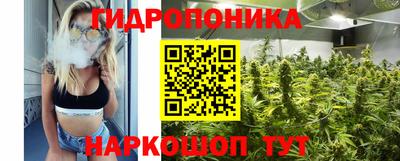 a pvp Моздок