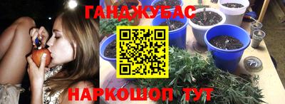 a pvp Моздок