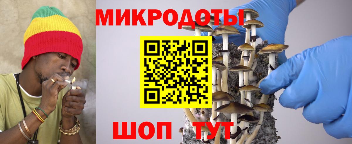 Псилоцибиновые грибы мицелий Чернушка